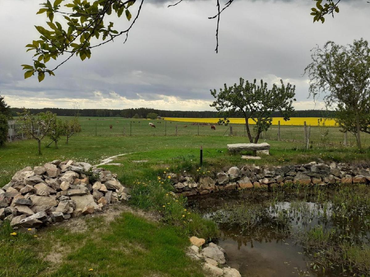 Novosedly nad NežárkouNa Chalupe U Sadky公寓 外观 照片