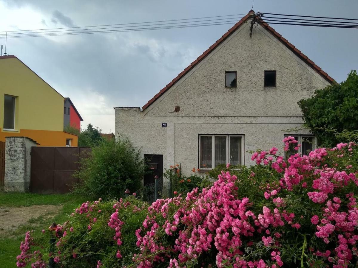 Novosedly nad NežárkouNa Chalupe U Sadky公寓 外观 照片